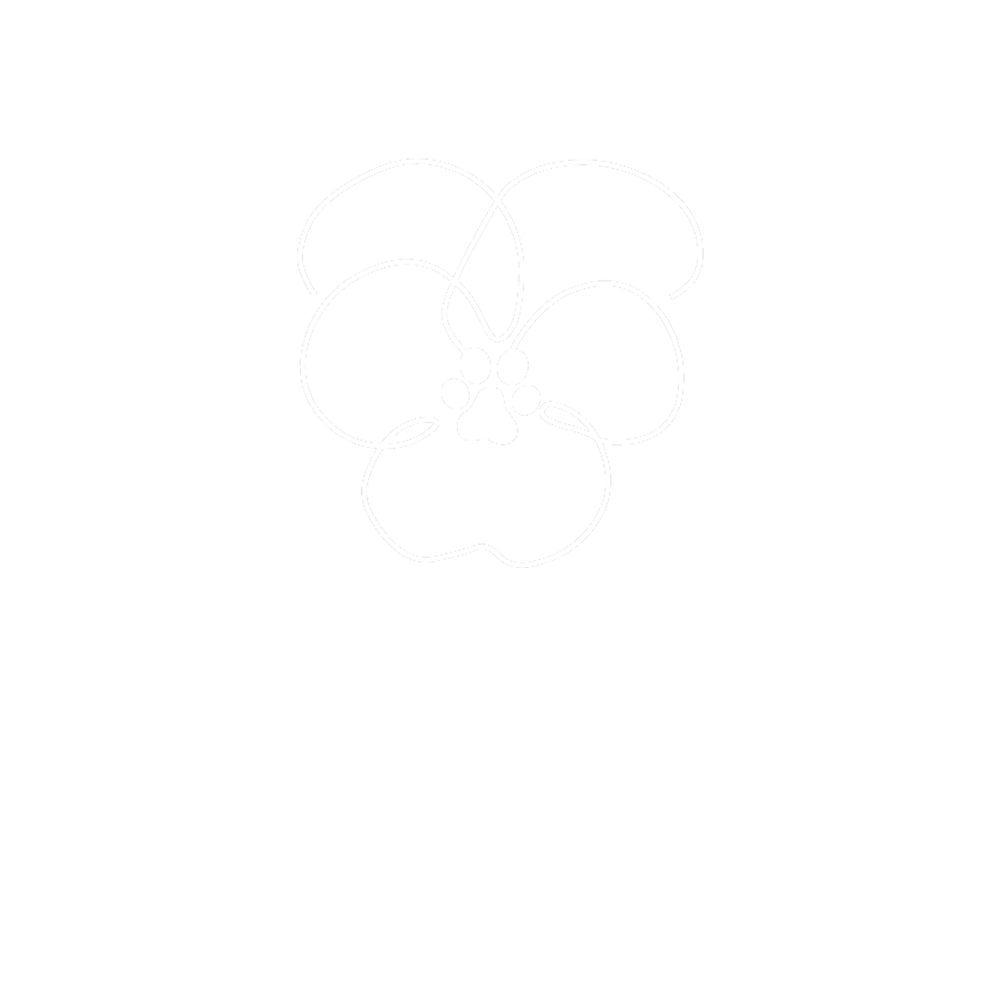 lilinoe company